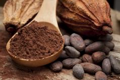 El cacao previene la astenia primaveral .