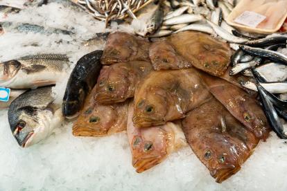 Pescados dispuestos en el mostrador de una pescadería.